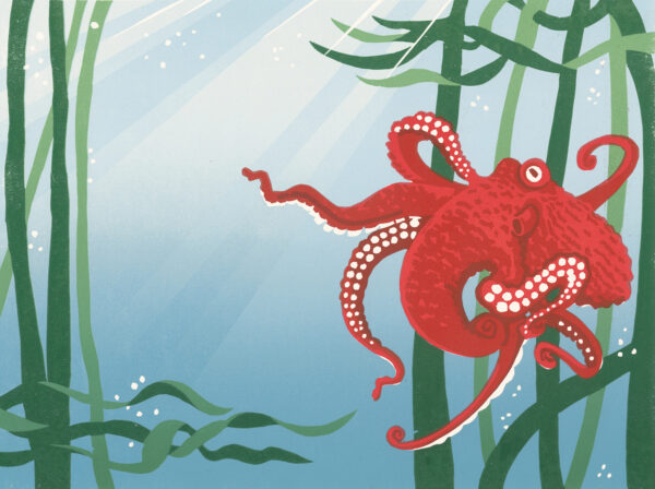 Tako Tanka letterpress print of octopus